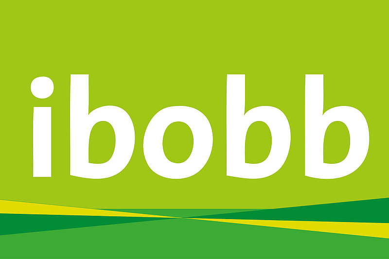 IBOBB Logo